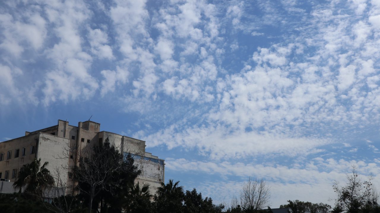 Endgame - Felix Neo Rieder